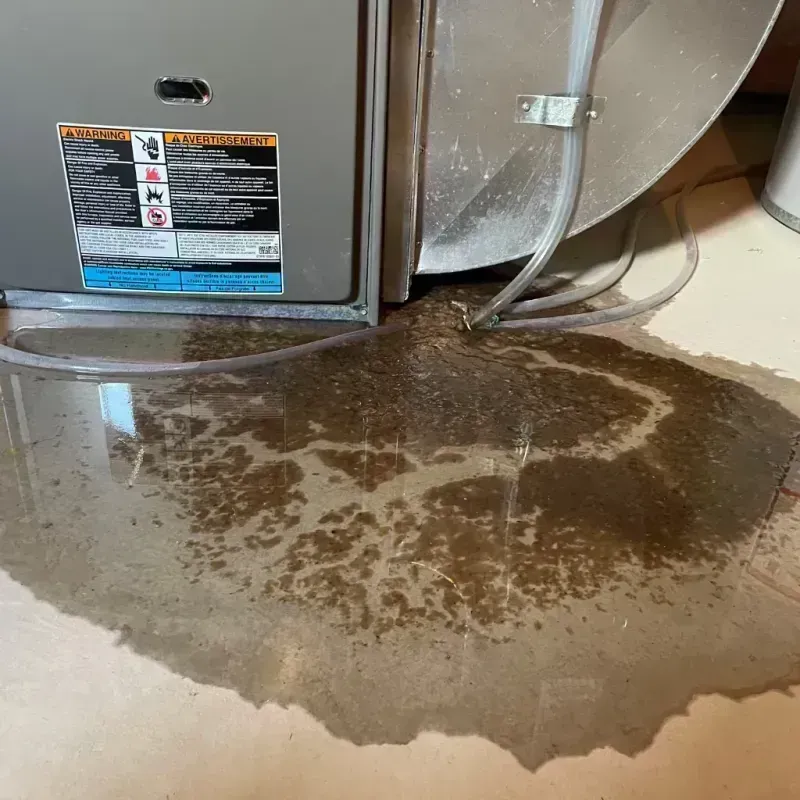 Appliance Leak Cleanup in McKee, KY